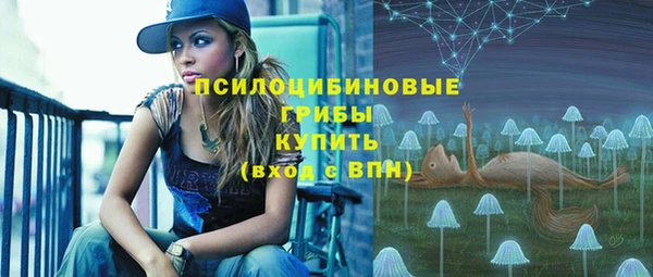 соль ск Балахна