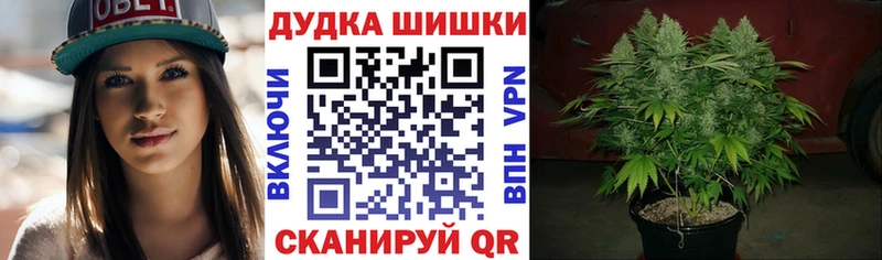 Бошки марихуана AK-47 даркнет сайт дарк нет телеграм Щёлкино